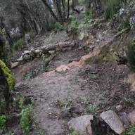 El Ple aprova una inversió per a intervencions arqueològiques al Puig del Castell