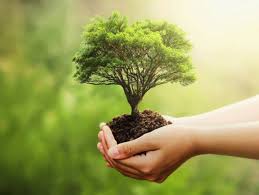 2025 05 08 08 05 2025 Cassanet i la Claca celebren el dia del Medi Ambient