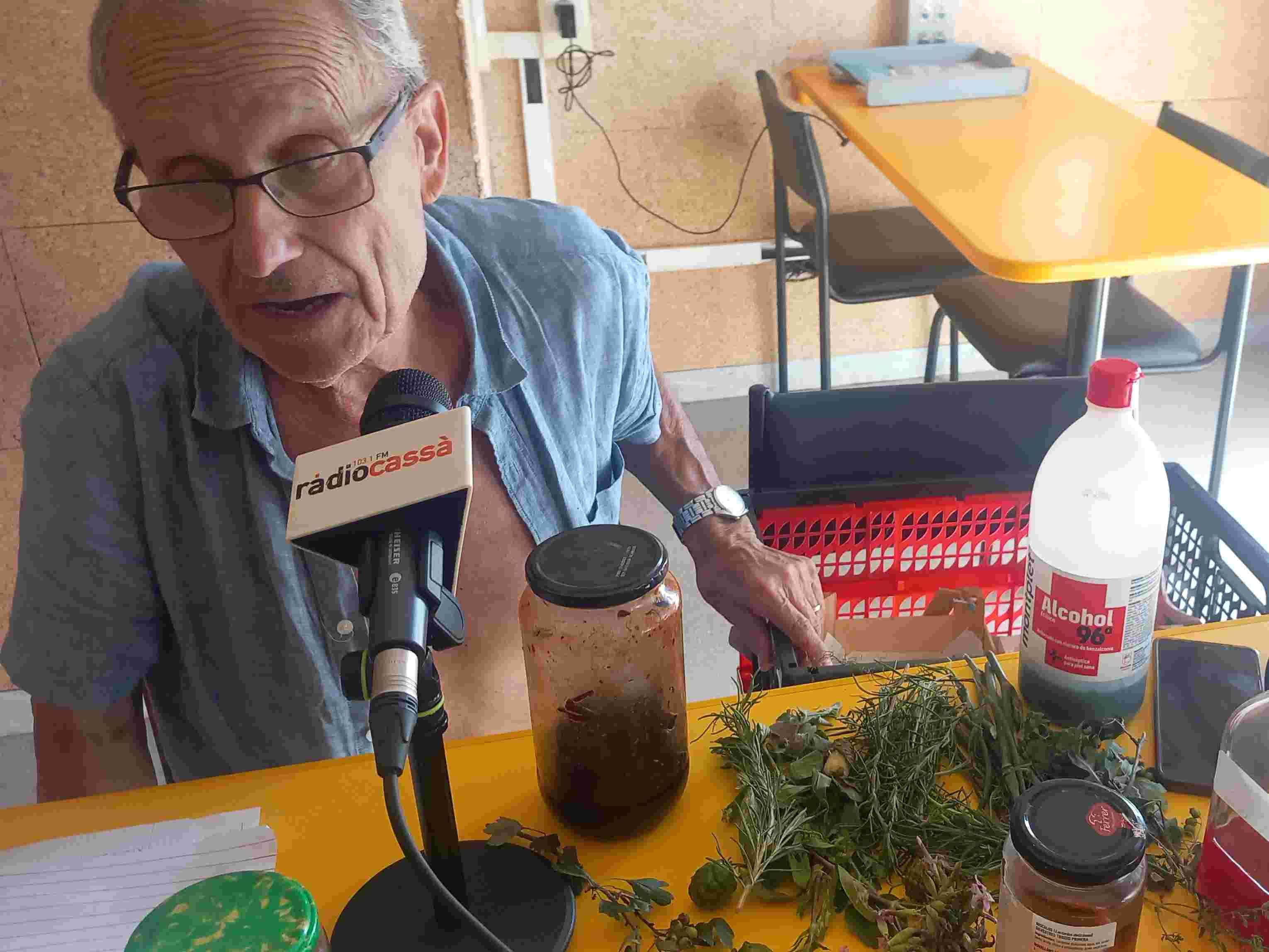 2025 07 15 15 07 2025 Les plantes amb més propietats